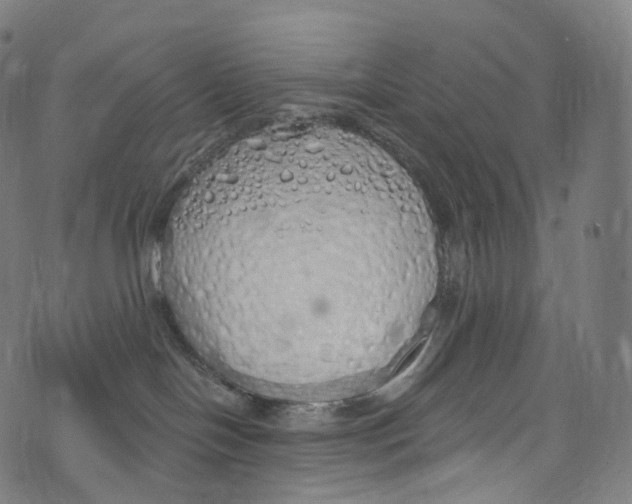 X0000072990094200608211527