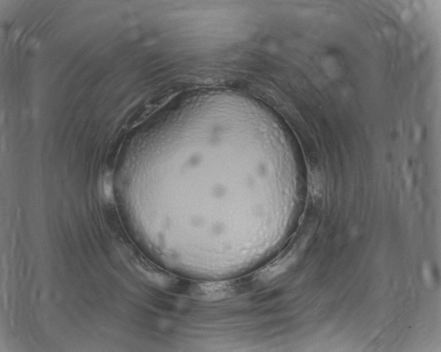 X0000072990095200608211527