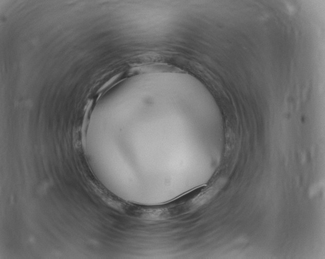 X0000072990096200608211527