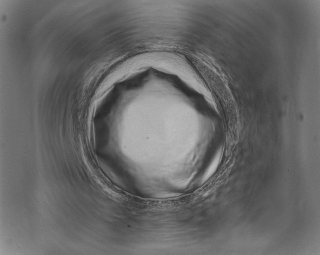 X0000072990097200608211526