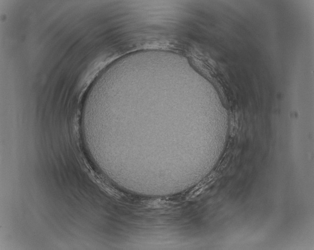 X0000072990098200608211526