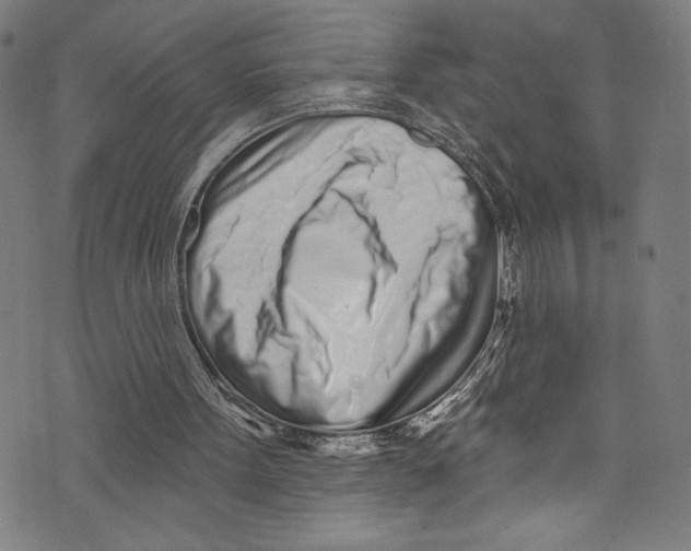 X0000072990099200608211526