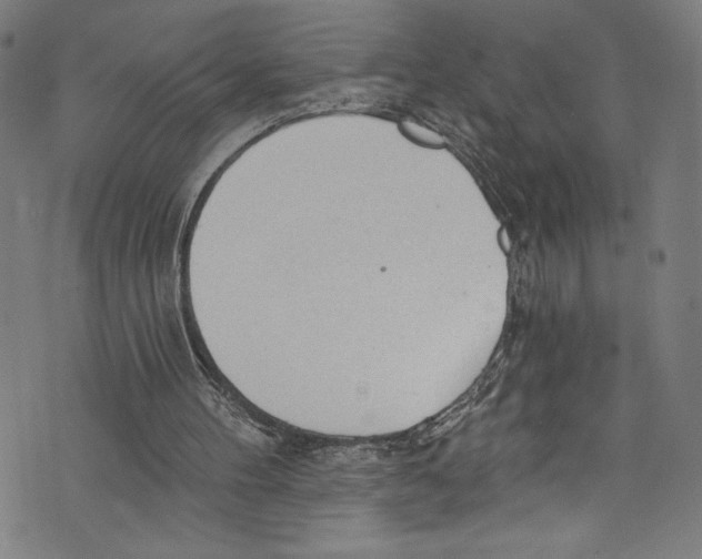 X0000072990100200608211526