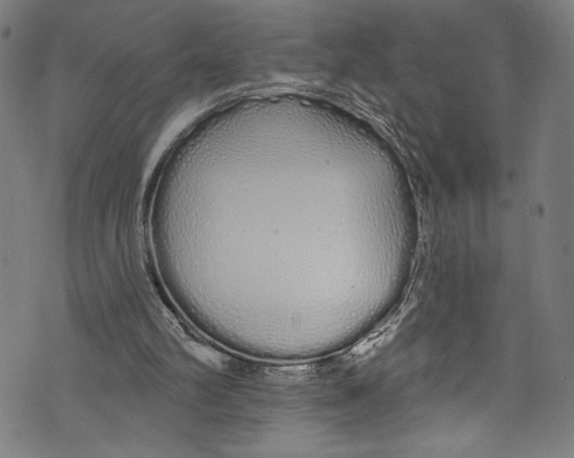 X0000072990102200608211526