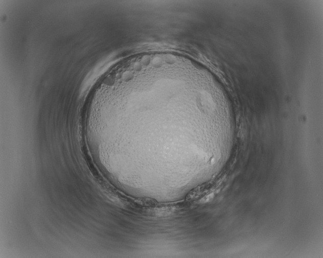 X0000072990103200608211526