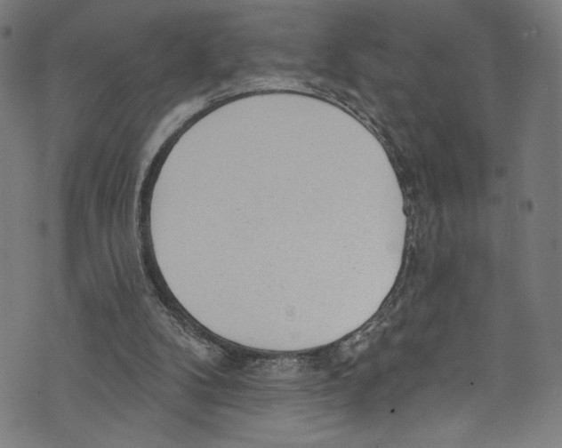 X0000072990104200608211526