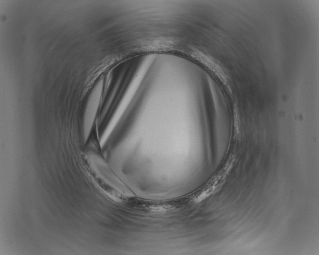 X0000072990105200608211526