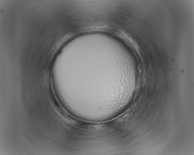 X0000072990107200608211526