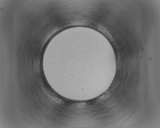 X0000072990108200608211526