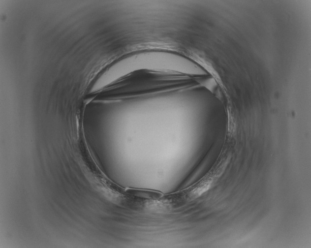 X0000072990109200608211526