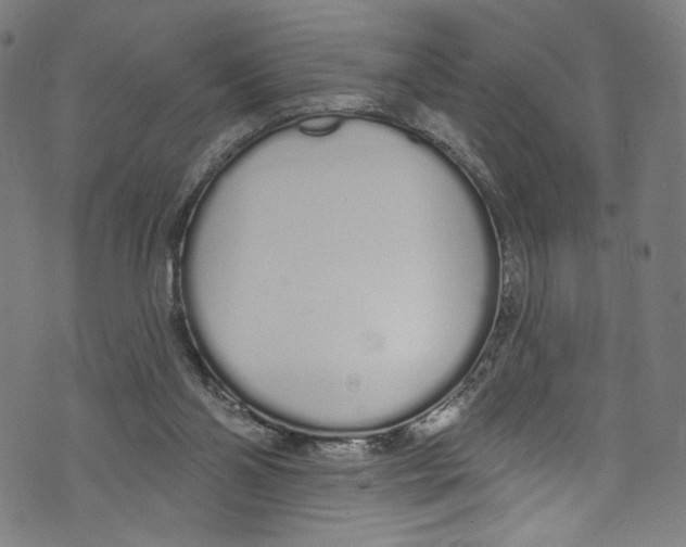 X0000072990110200608211526