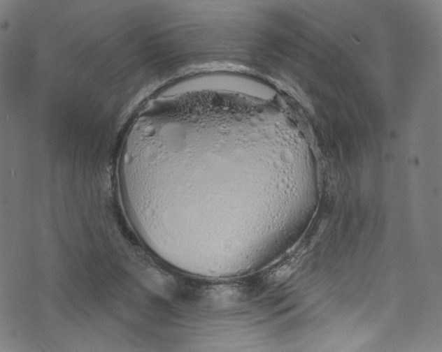 X0000072990111200608211526