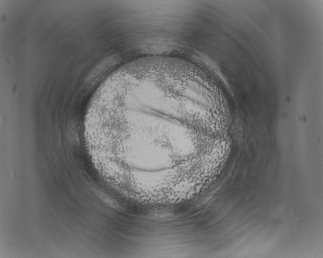 X0000072990114200608211526