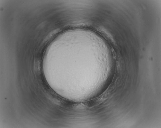 X0000072990115200608211526