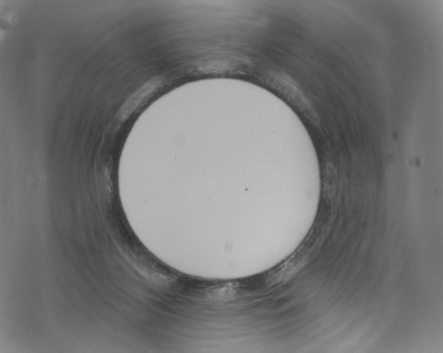 X0000072990116200608211526