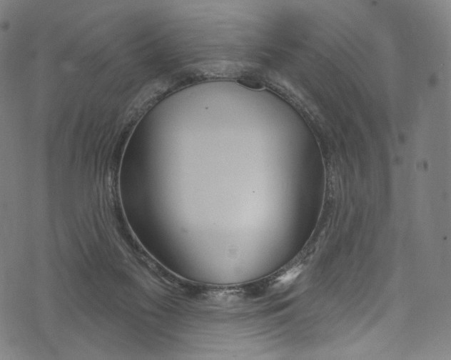 X0000072990117200608211525