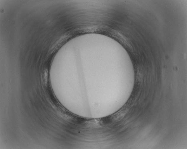 X0000072990118200608211525