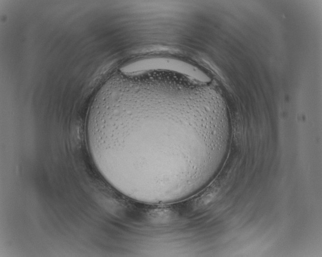 X0000072990119200608211525