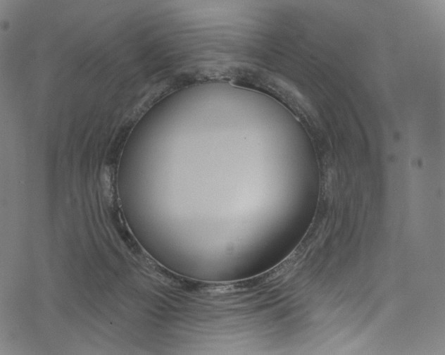 X0000072990121200608211525