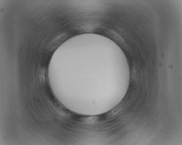 X0000072990122200608211525