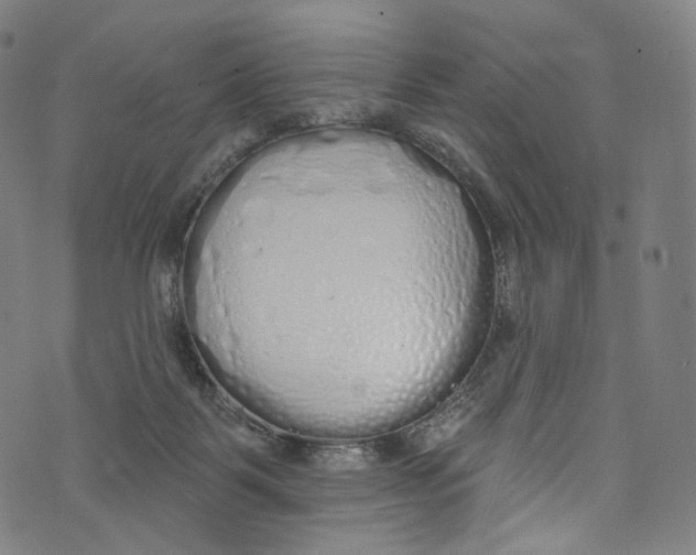 X0000072990123200608211525