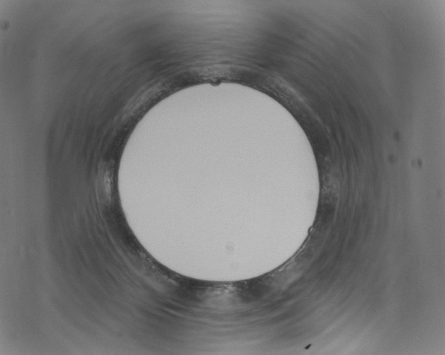 X0000072990124200608211525