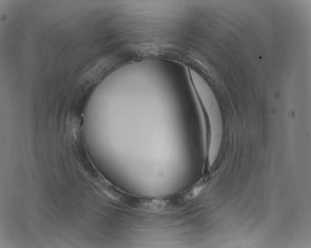 X0000072990125200608211525