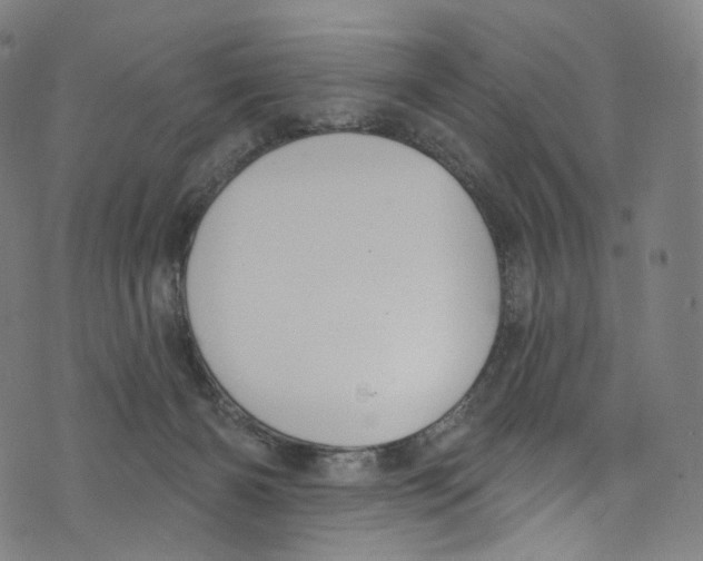 X0000072990126200608211525