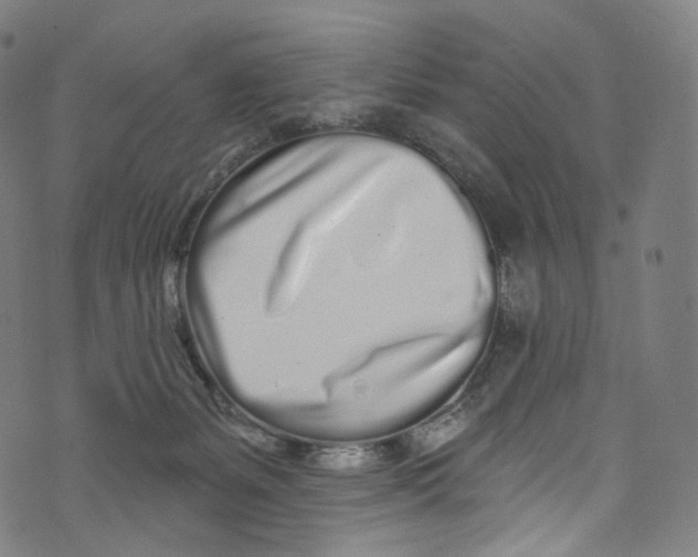 X0000072990127200608211525