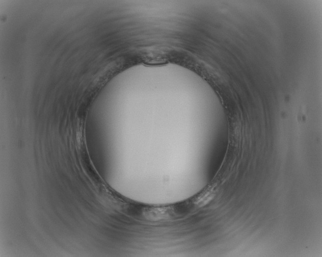 X0000072990129200608211525