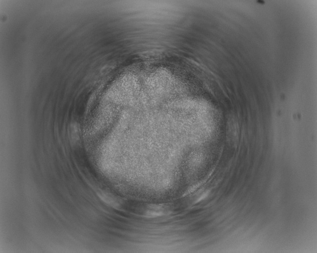 X0000072990130200608211525