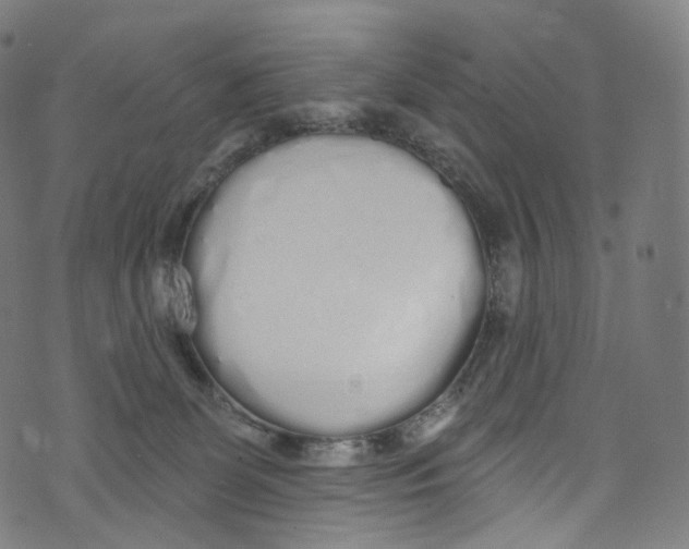 X0000072990131200608211525