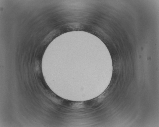 X0000072990132200608211525