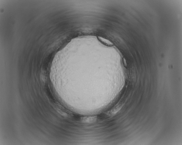 X0000072990135200608211525