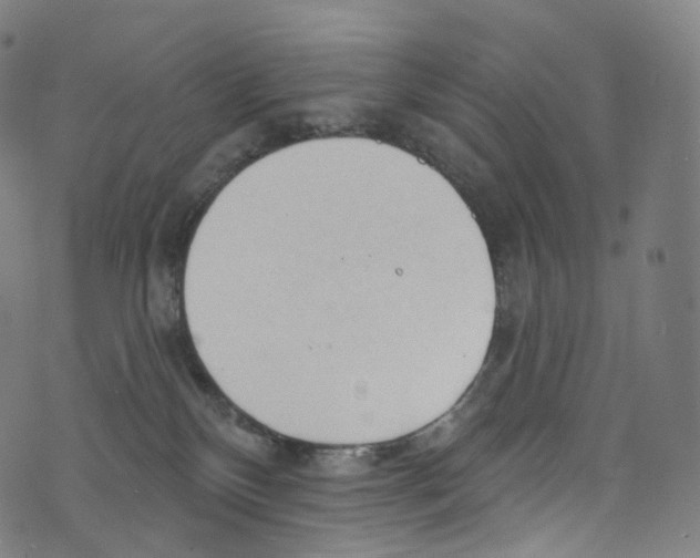 X0000072990136200608211525