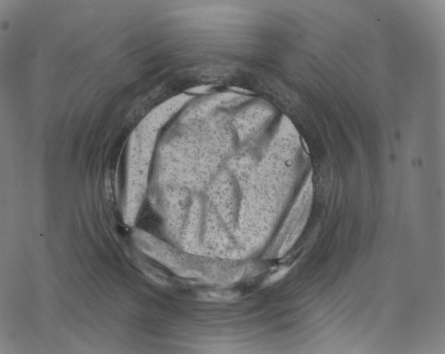 X0000072990137200608211525