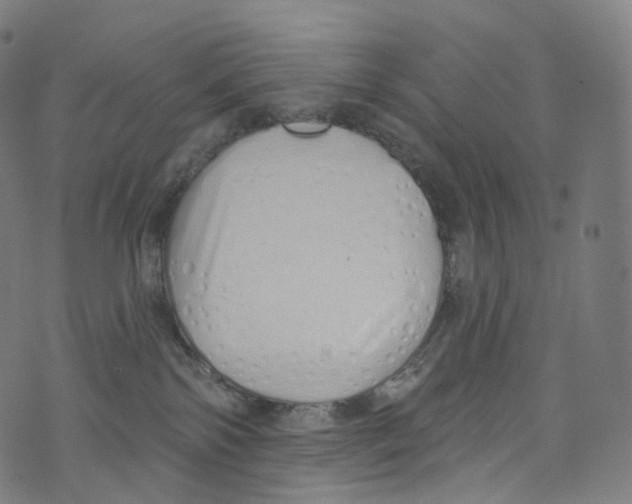 X0000072990138200608211525