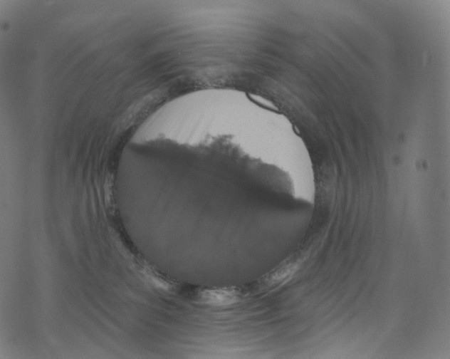 X0000072990139200608211525