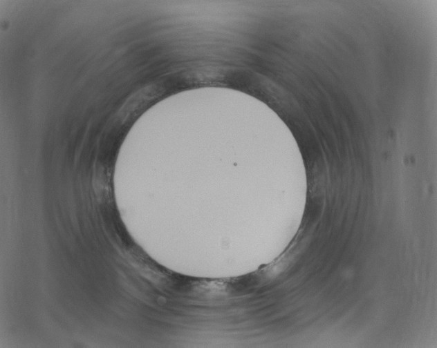 X0000072990140200608211525