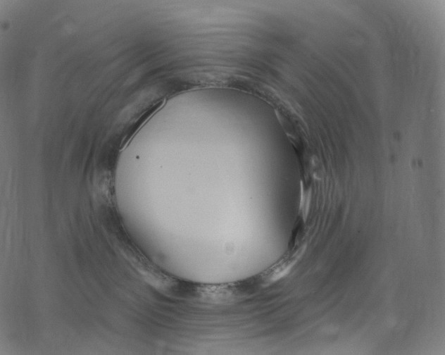 X0000072990141200608211525