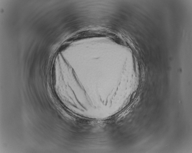 X0000072990145200608211524