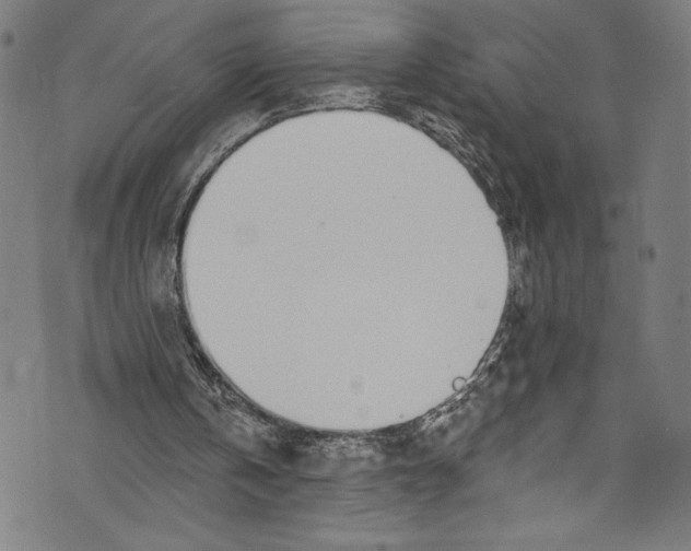 X0000072990146200608211524