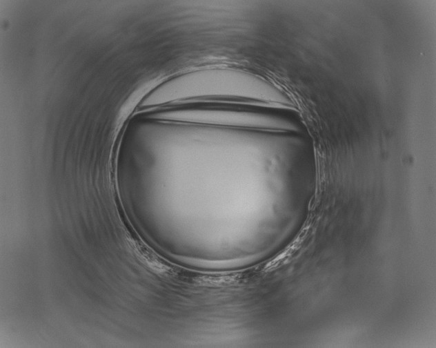 X0000072990147200608211524