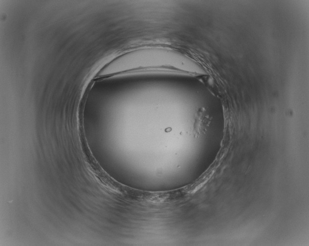 X0000072990148200608211524