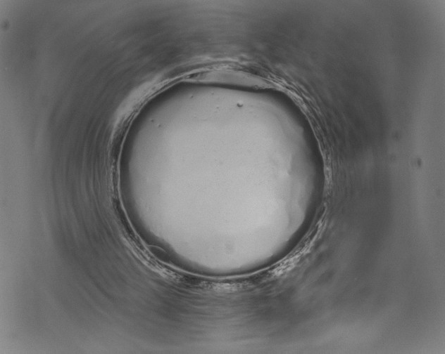 X0000072990149200608211524