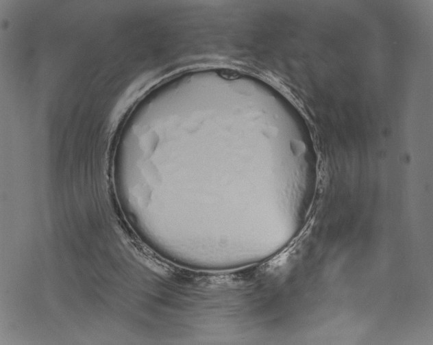 X0000072990151200608211524