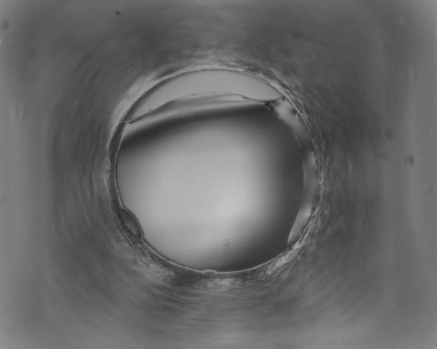 X0000072990152200608211524