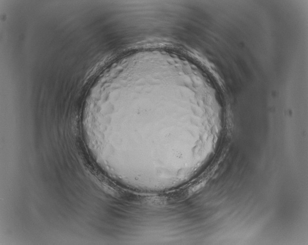 X0000072990153200608211524