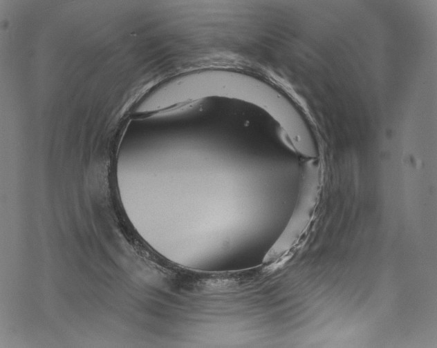 X0000072990154200608211524