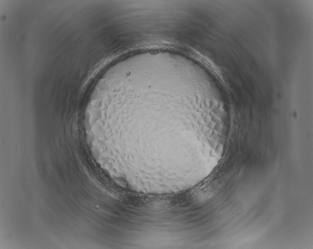 X0000072990155200608211524